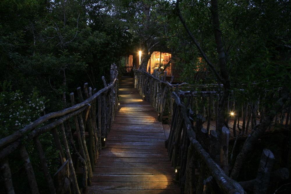 Tree Lodge Nidos De Pucón المظهر الخارجي الصورة