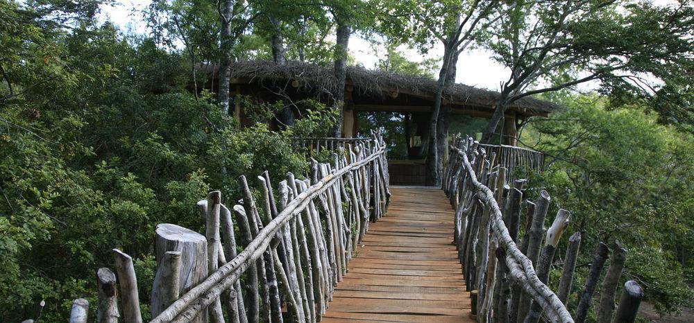 Tree Lodge Nidos De Pucón المظهر الخارجي الصورة