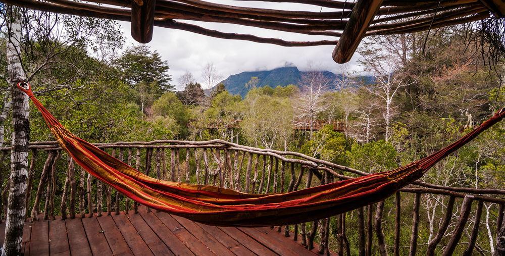 Tree Lodge Nidos De Pucón المظهر الخارجي الصورة