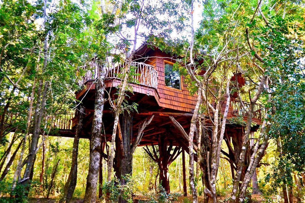 Tree Lodge Nidos De Pucón المظهر الخارجي الصورة