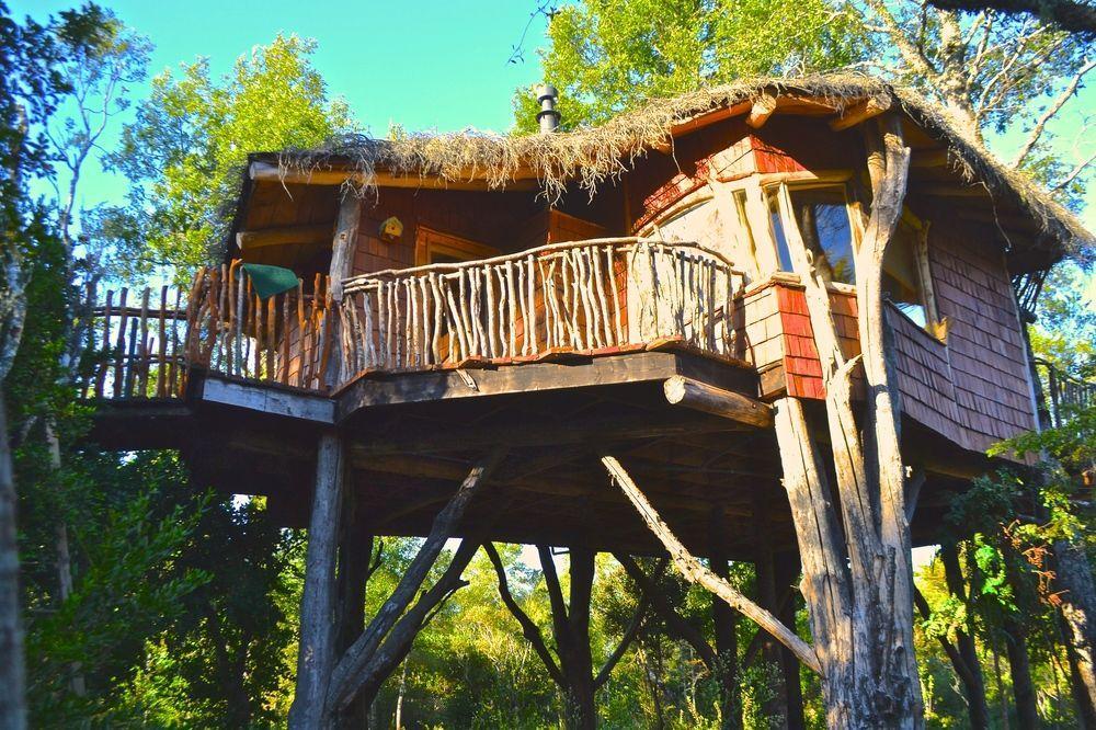 Tree Lodge Nidos De Pucón المظهر الخارجي الصورة
