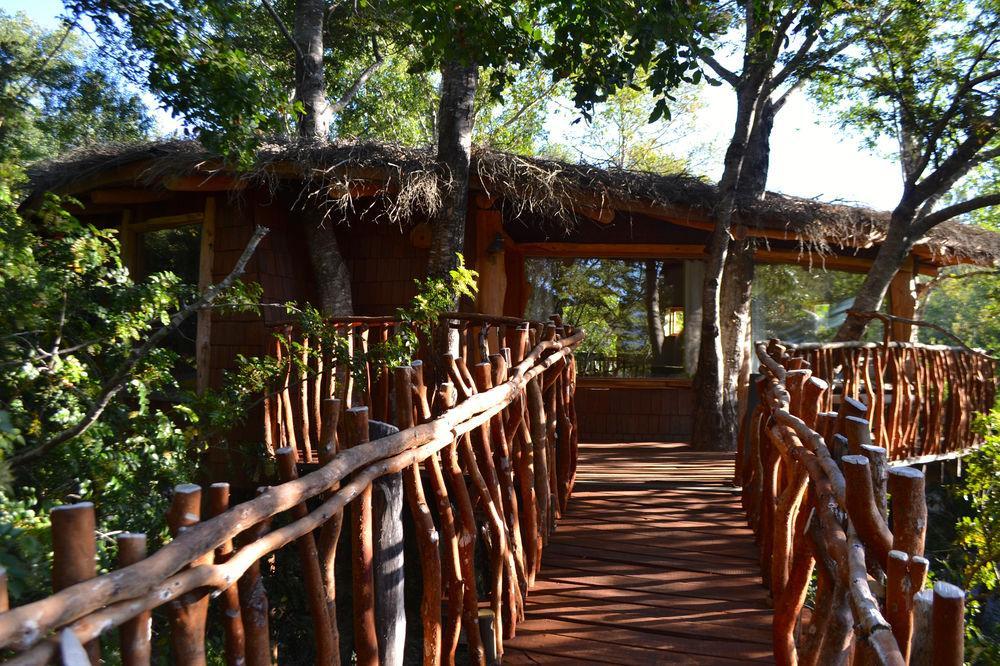 Tree Lodge Nidos De Pucón المظهر الخارجي الصورة