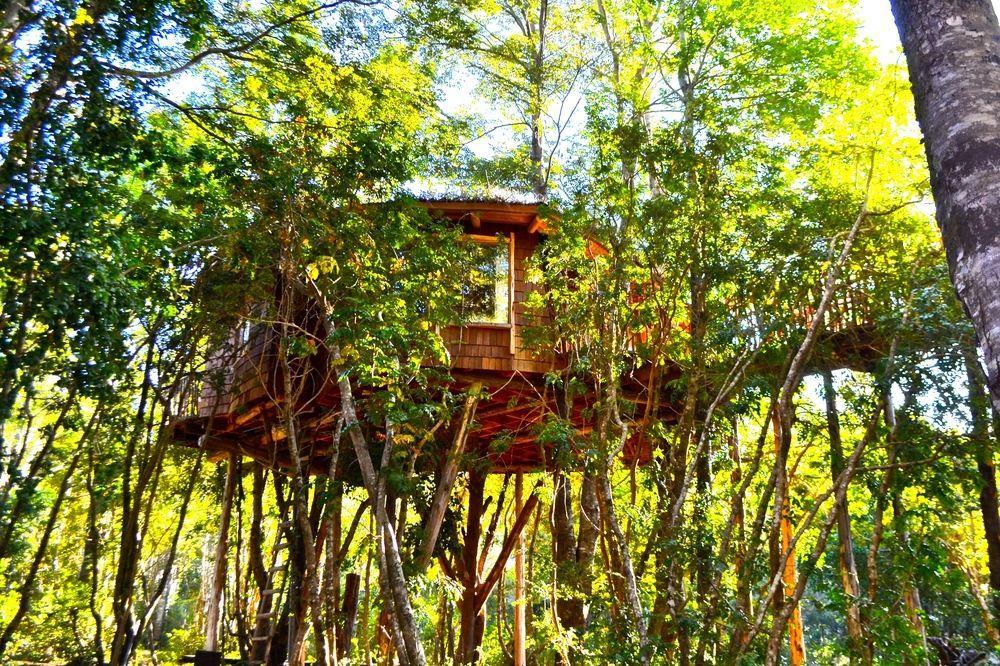 Tree Lodge Nidos De Pucón المظهر الخارجي الصورة