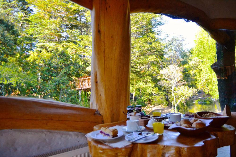 Tree Lodge Nidos De Pucón المظهر الخارجي الصورة