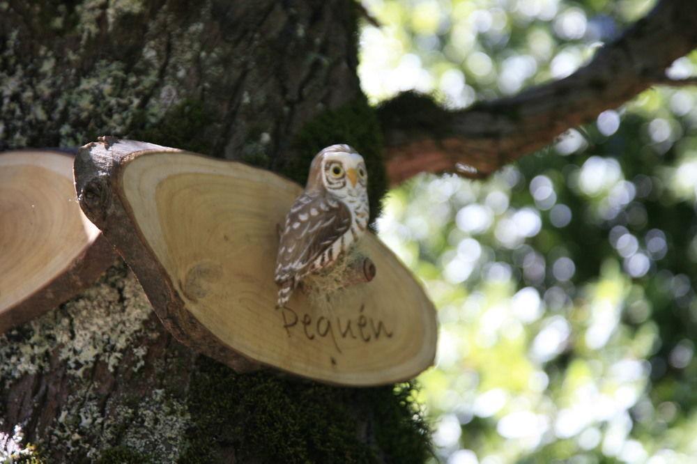 Tree Lodge Nidos De Pucón المظهر الخارجي الصورة