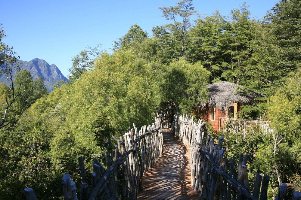 Tree Lodge Nidos De Pucón المظهر الخارجي الصورة