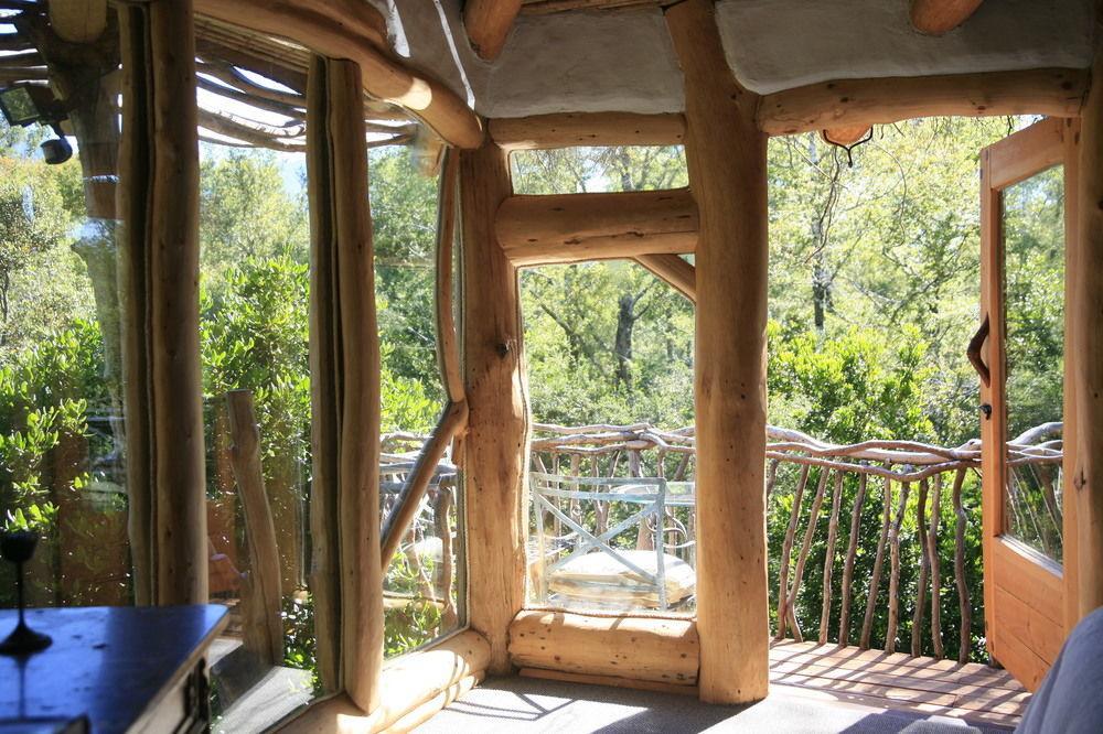 Tree Lodge Nidos De Pucón المظهر الخارجي الصورة