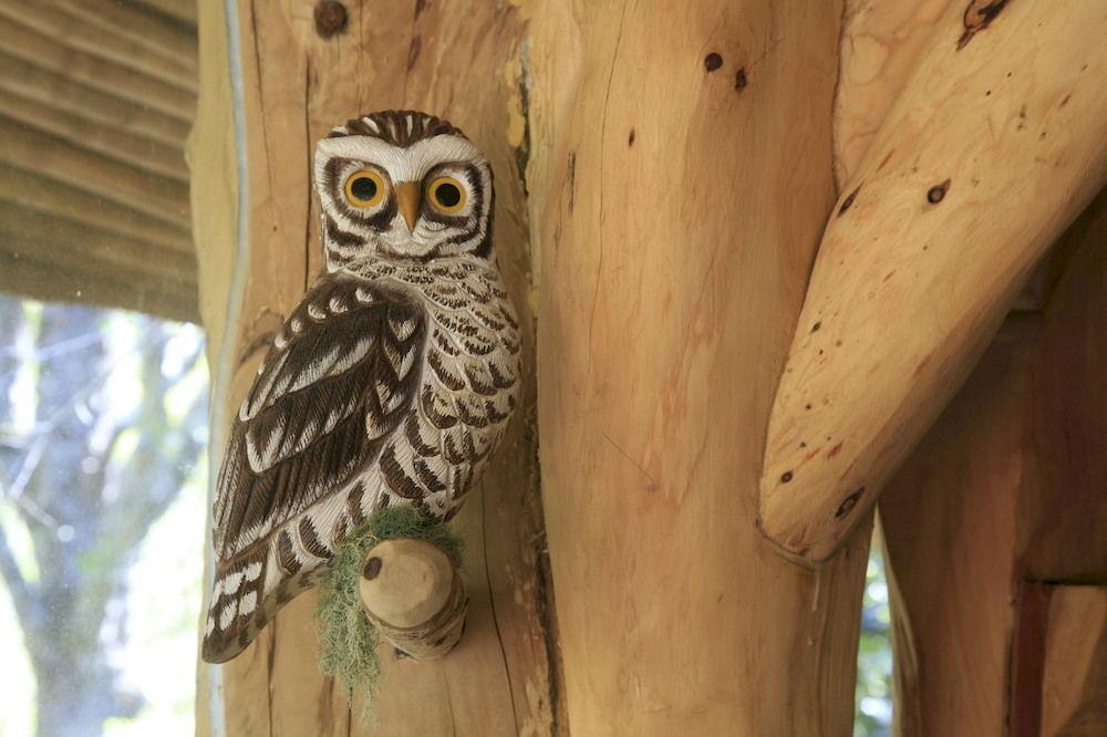 Tree Lodge Nidos De Pucón المظهر الخارجي الصورة