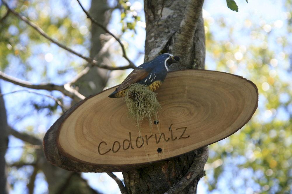 Tree Lodge Nidos De Pucón المظهر الخارجي الصورة