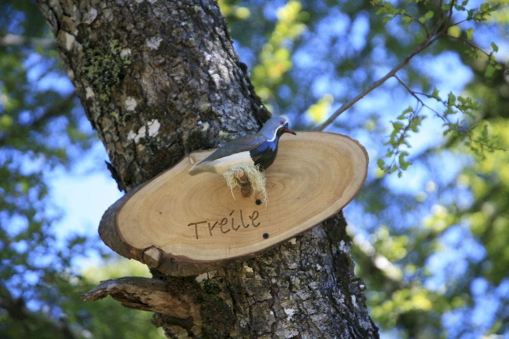 Tree Lodge Nidos De Pucón المظهر الخارجي الصورة