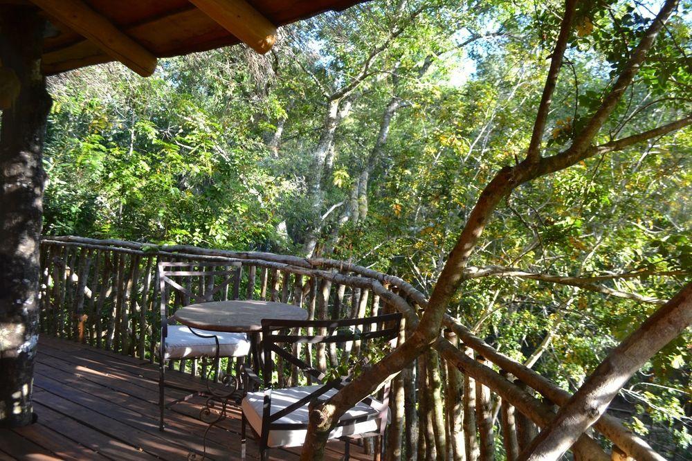 Tree Lodge Nidos De Pucón المظهر الخارجي الصورة