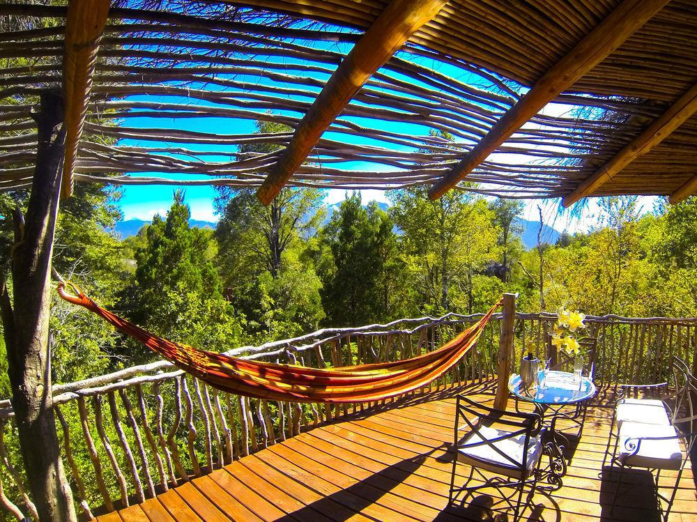 Tree Lodge Nidos De Pucón المظهر الخارجي الصورة