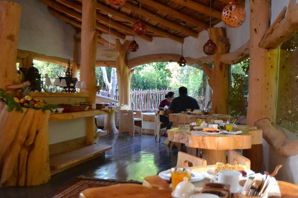 Tree Lodge Nidos De Pucón المظهر الخارجي الصورة