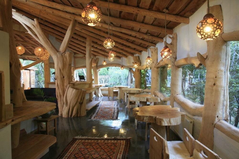 Tree Lodge Nidos De Pucón المظهر الخارجي الصورة