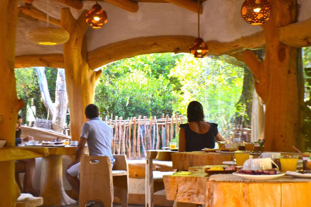 Tree Lodge Nidos De Pucón المظهر الخارجي الصورة