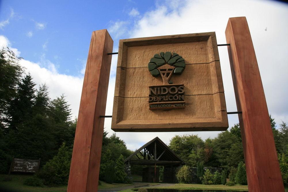 Tree Lodge Nidos De Pucón المظهر الخارجي الصورة