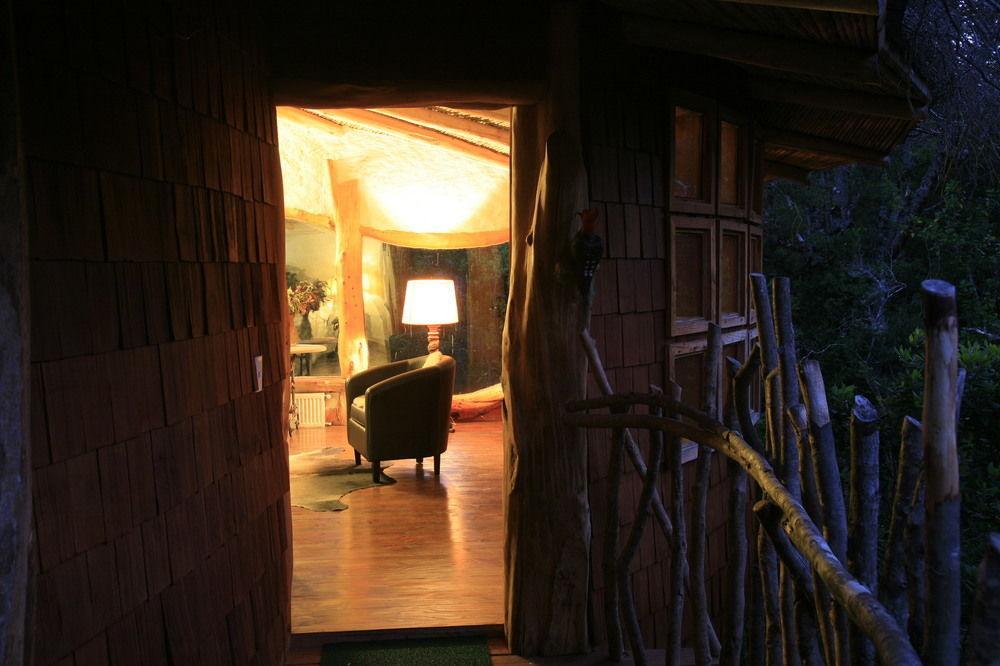 Tree Lodge Nidos De Pucón المظهر الخارجي الصورة