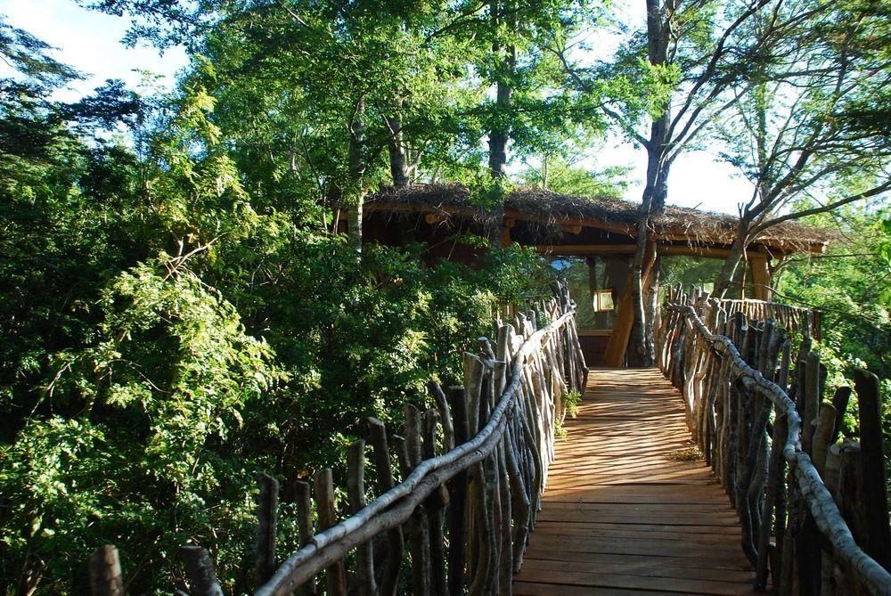 Tree Lodge Nidos De Pucón المظهر الخارجي الصورة