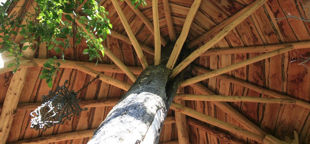 Tree Lodge Nidos De Pucón المظهر الخارجي الصورة