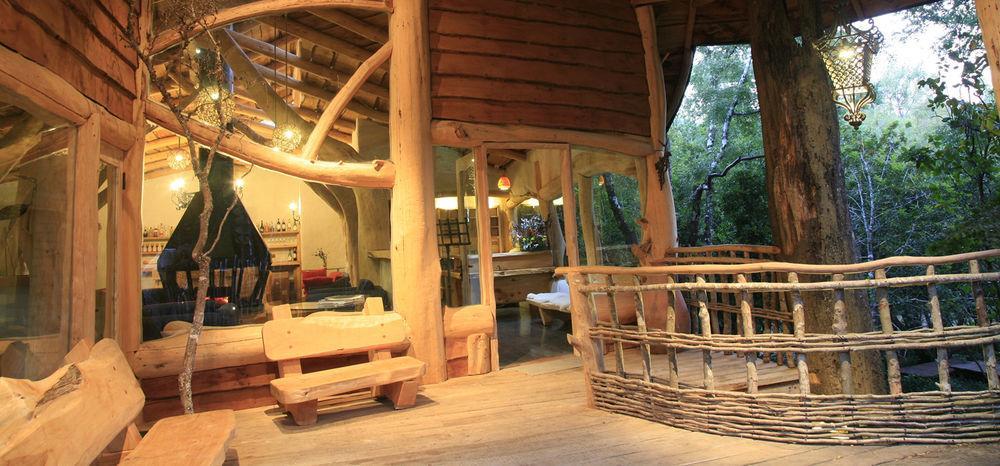 Tree Lodge Nidos De Pucón المظهر الخارجي الصورة
